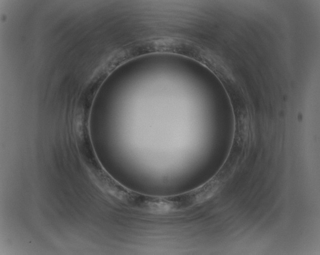 X0000081330698200701111359