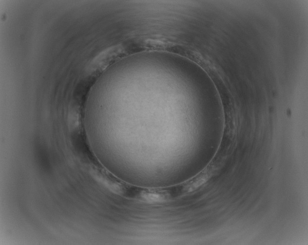 X0000081330706200701111359