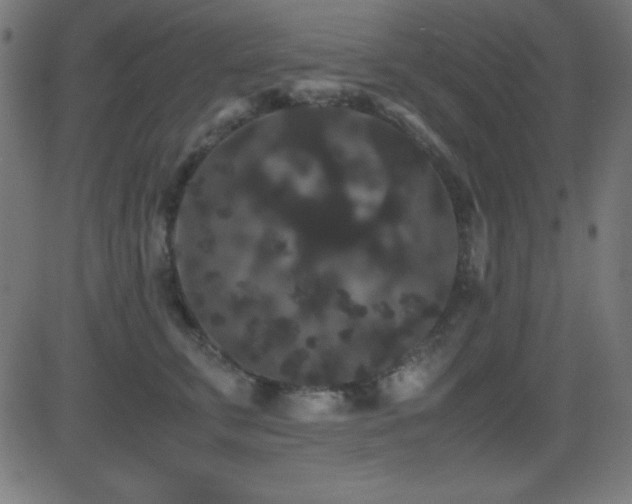X0000081330711200701111359