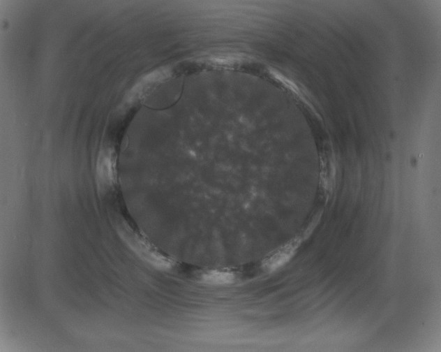X0000081330718200701111359
