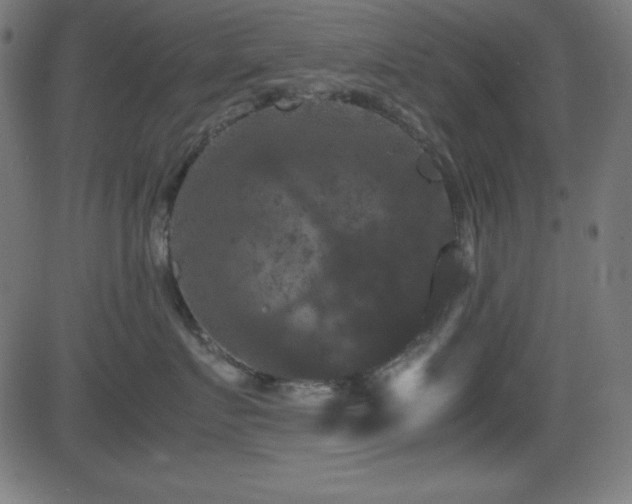 X0000081330719200701111359