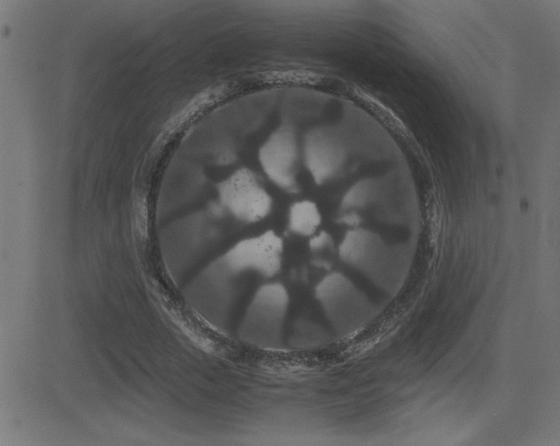 X0000081330729200701111358