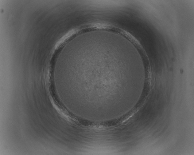 X0000081330730200701111358