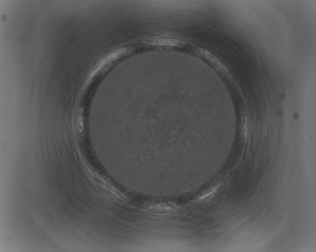 X0000081330731200701111358