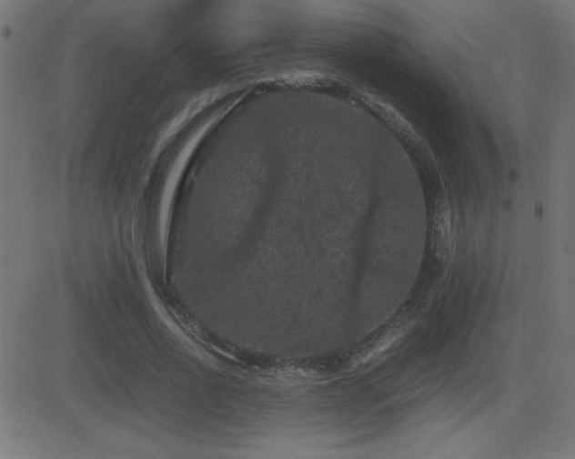 X0000081330734200701111358
