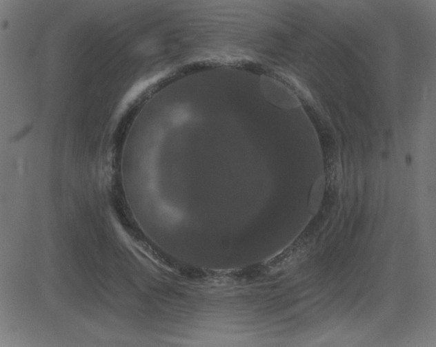X0000081330736200701111358