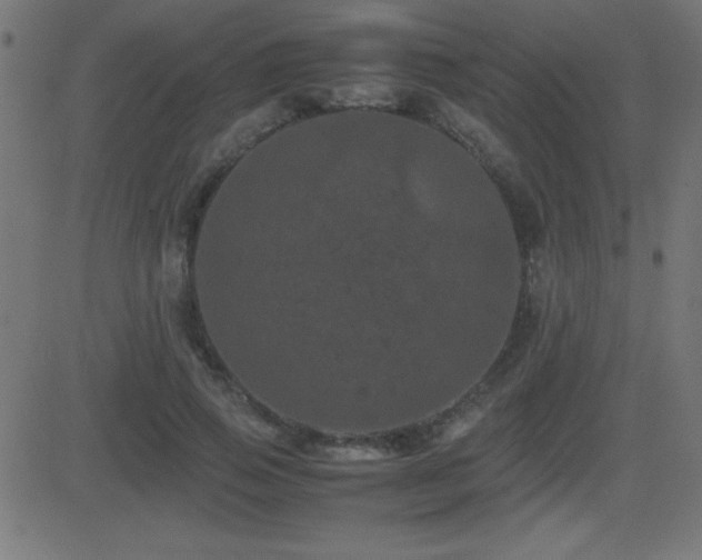 X0000081330741200701111358