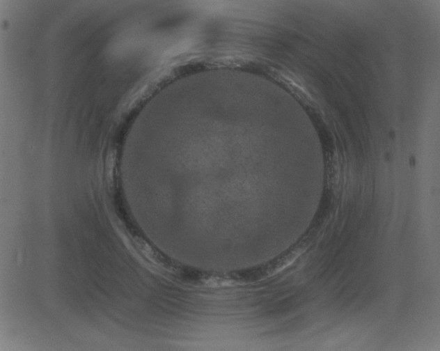 X0000081330742200701111358