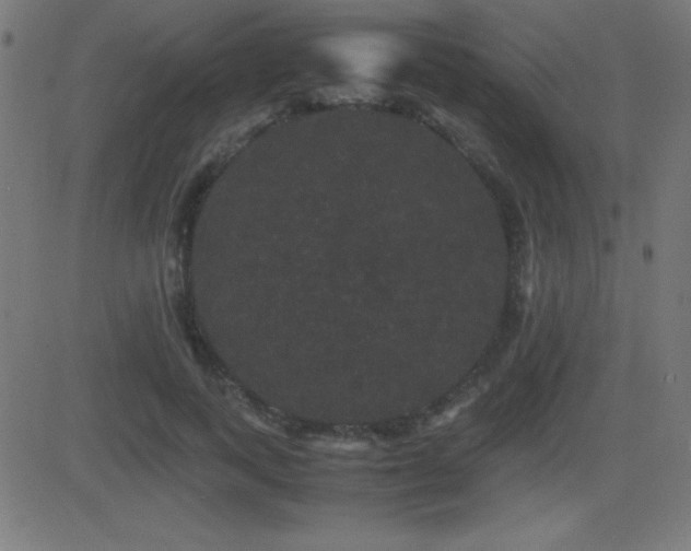 X0000081330743200701111358
