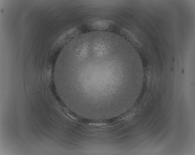 X0000081330745200701111358