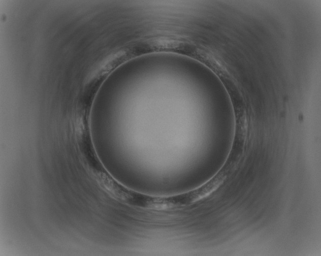 X0000081330746200701111358