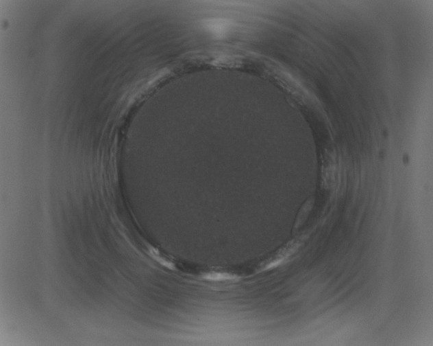 X0000081330748200701111358
