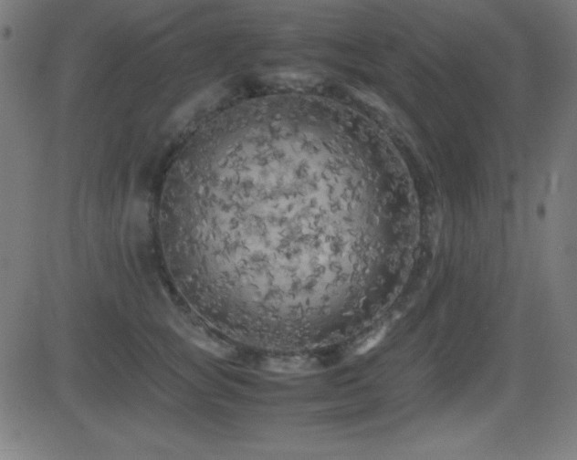 X0000081330757200701111358