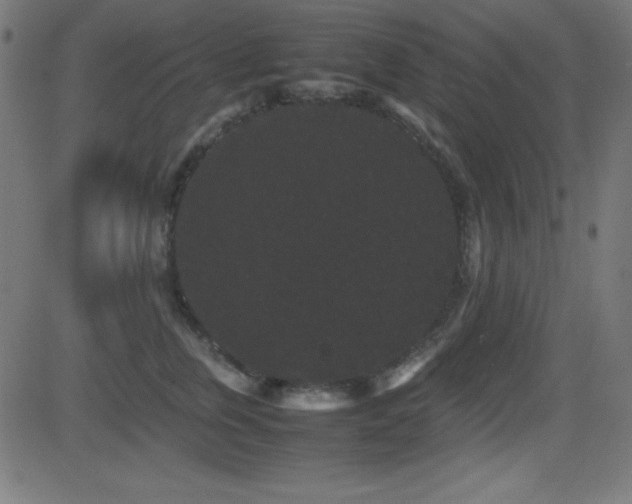 X0000081330759200701111358