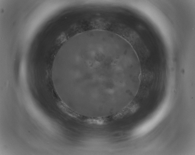 X0000081330765200701111359