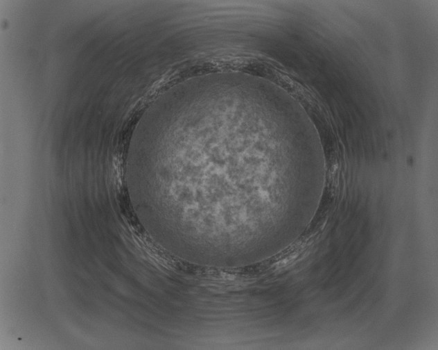 X0000081330772200701111358