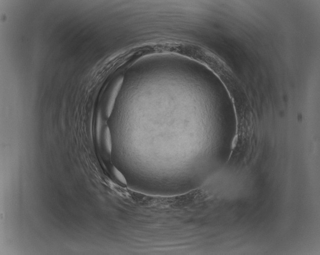 X0000081330773200701111358