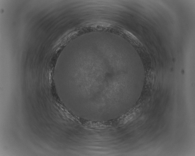 X0000081330774200701111358