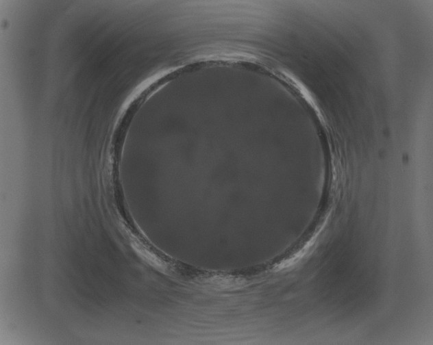 X0000081330779200701111358