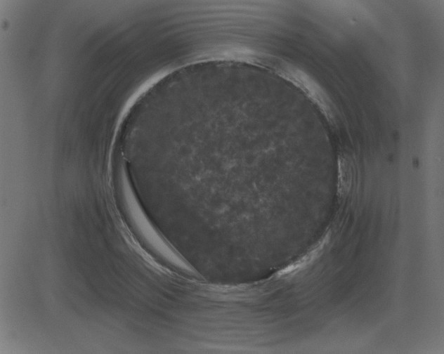 X0000081330780200701111358