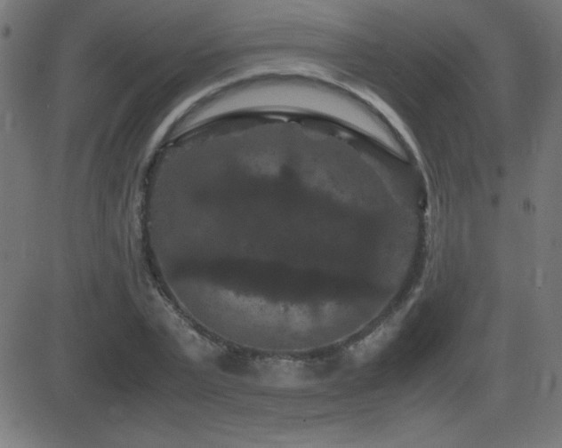 X0000081330783200701111358