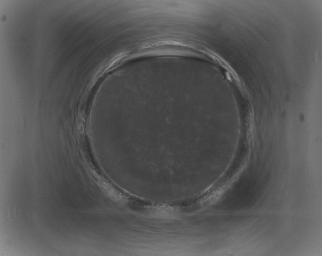 X0000081330785200701111358