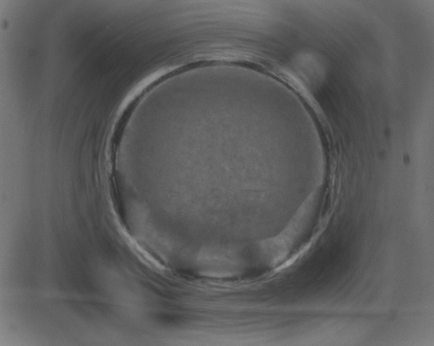 X0000081330787200701111358