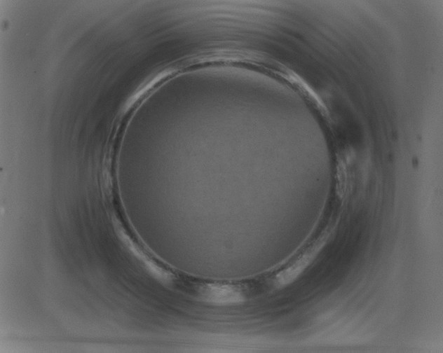 X0000081330794200701111357