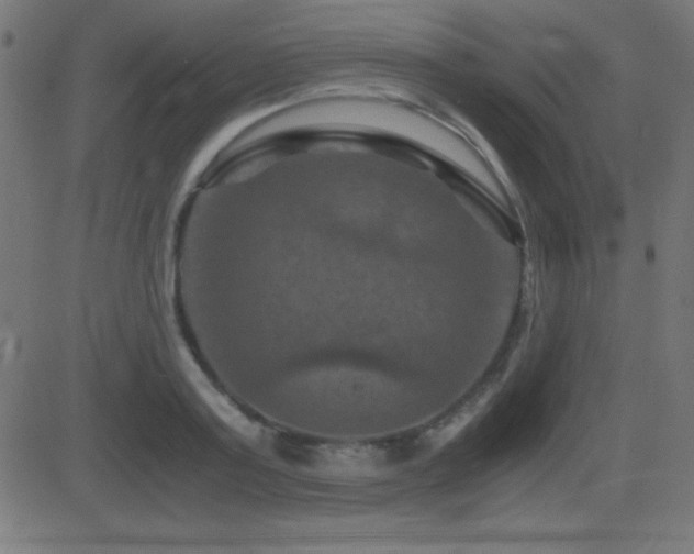 X0000081330795200701111357