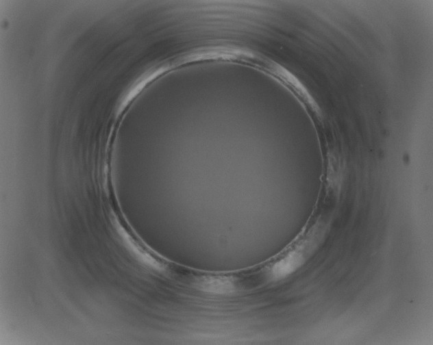 X0000081330802200701111357