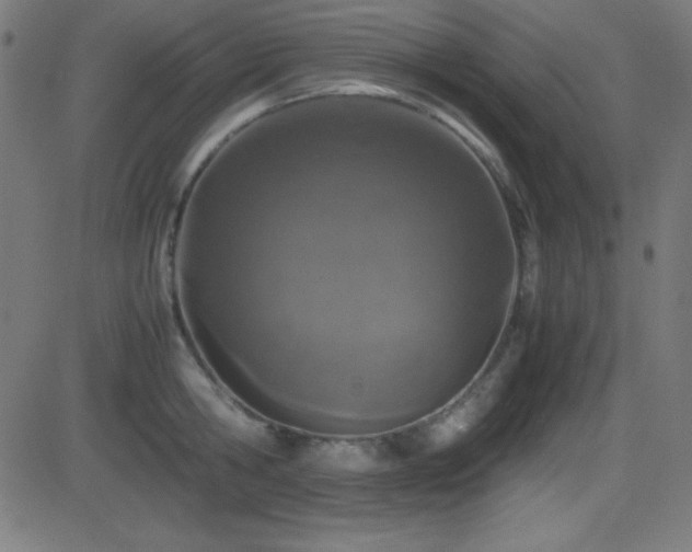 X0000081330806200701111357