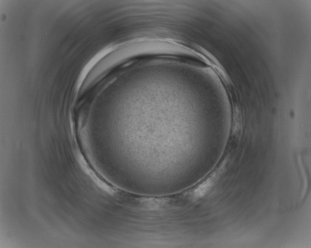 X0000081330812200701111357