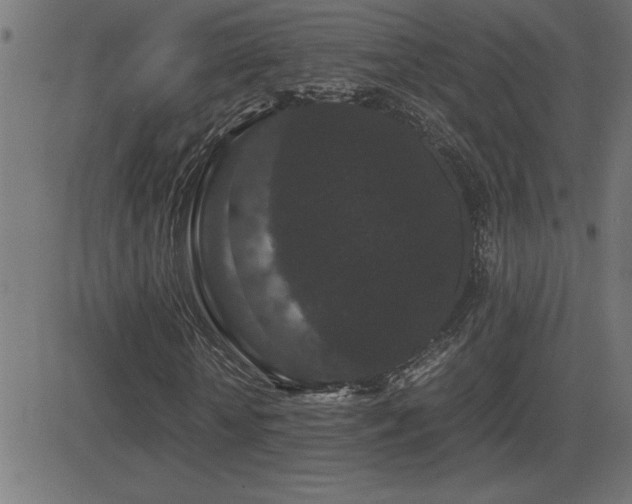 X0000081330818200701111356