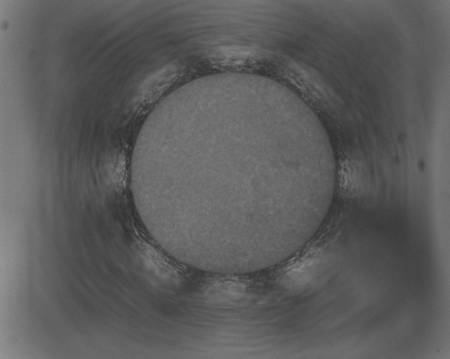 X0000081330820200701111356