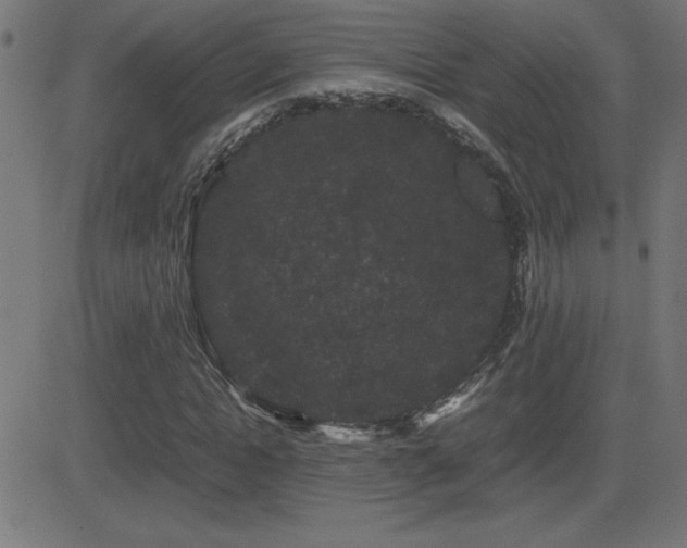 X0000081330822200701111356