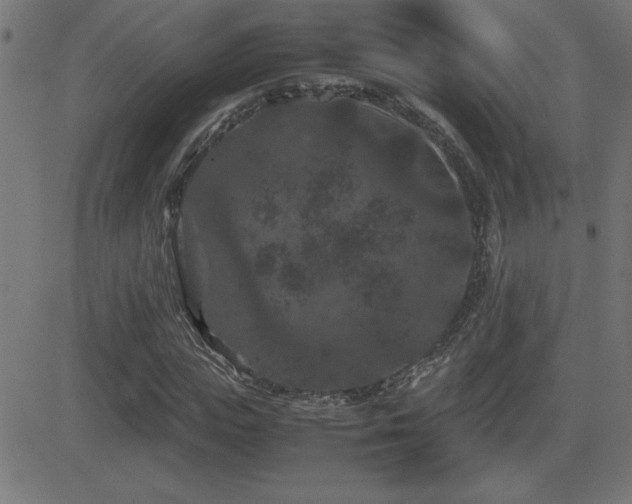 X0000081330823200701111356