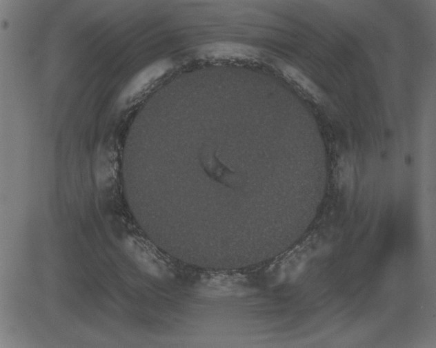 X0000081330824200701111356