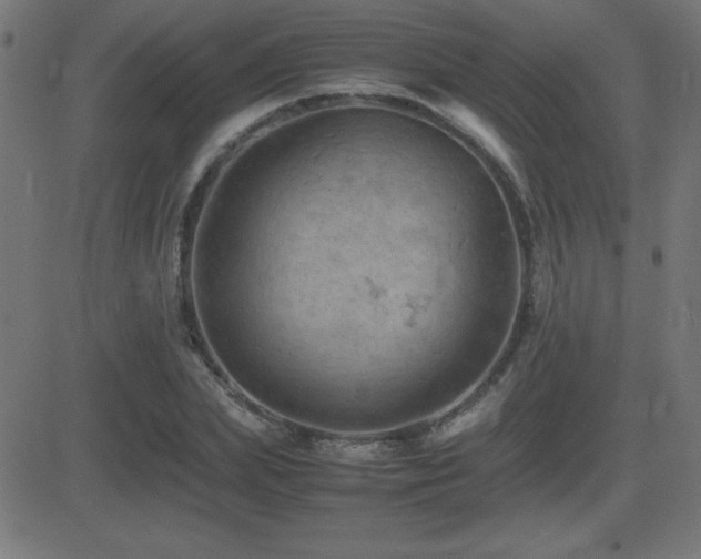 X0000081330831200701111356