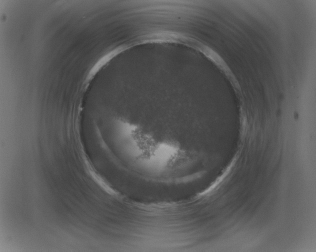 X0000081330842200701111357