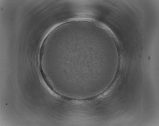 X0000081330852200701111357