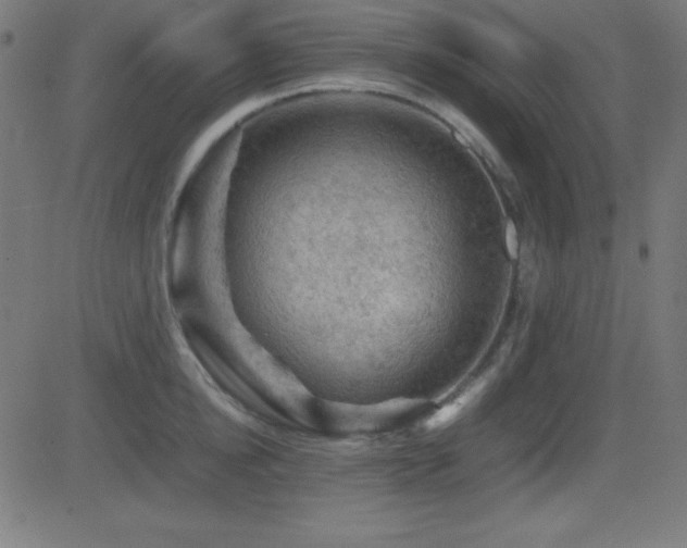 X0000081330854200701111357