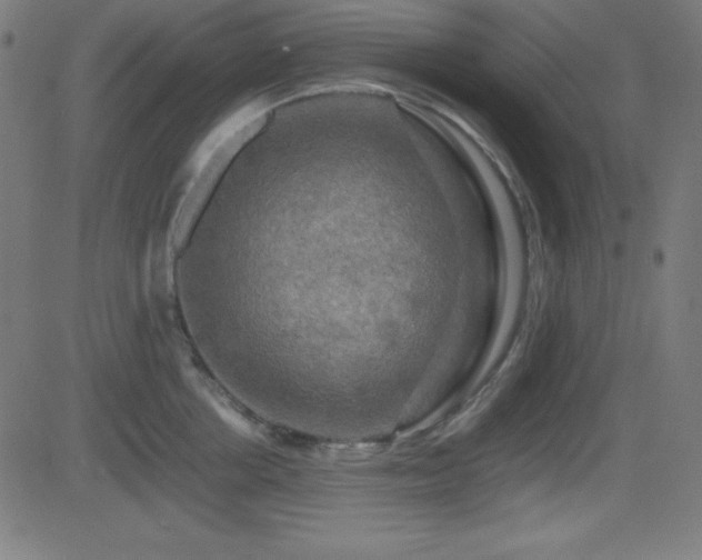 X0000081330858200701111357