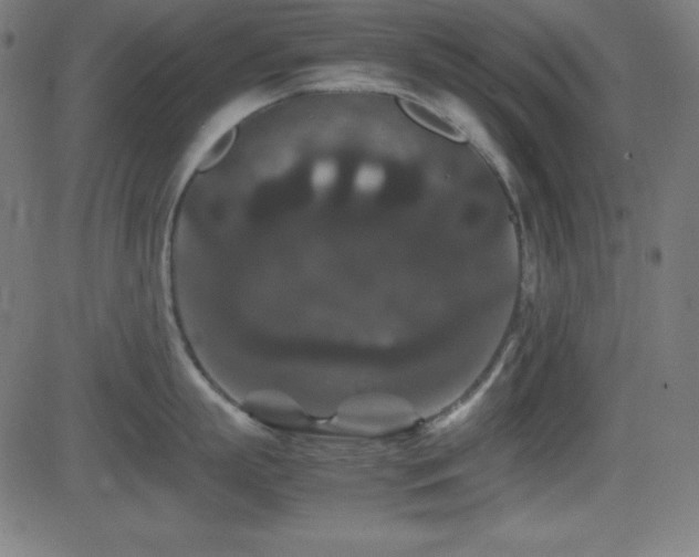 X0000081330863200701111357