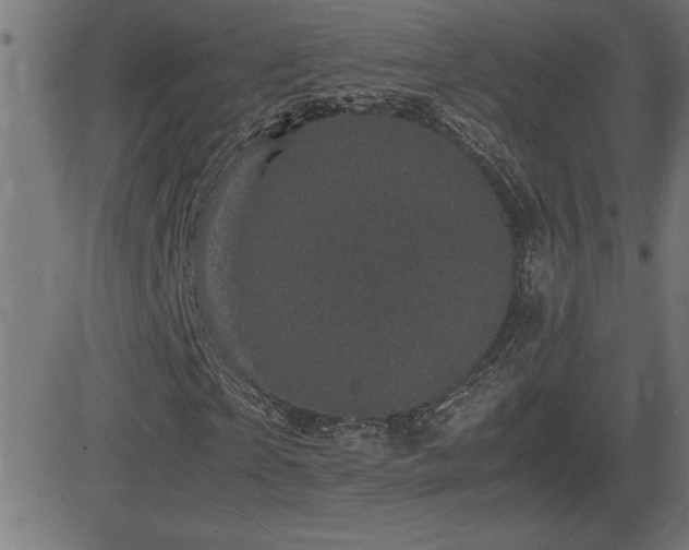 X0000081330865200701111356