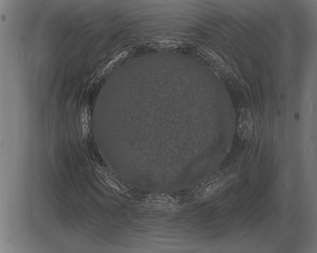 X0000081330866200701111356