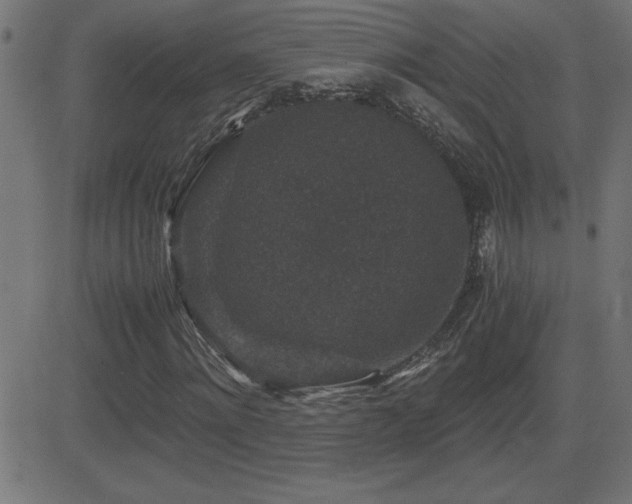 X0000081330868200701111356