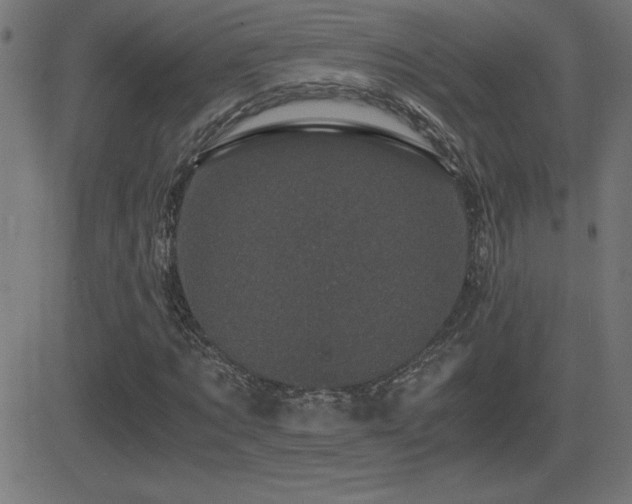 X0000081330869200701111356