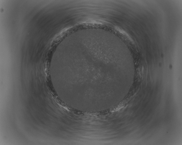 X0000081330870200701111356