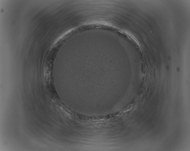 X0000081330872200701111356