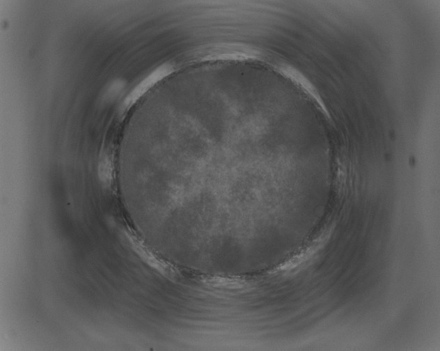 X0000081330874200701111356
